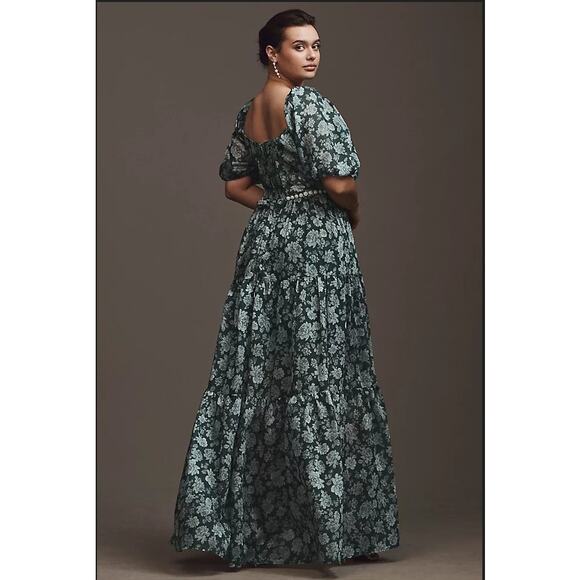 V. Chapman Emma V-Neck A-Line Brocade Cutout Maxi Dress Size 2 NWT - Picture 15 of 15